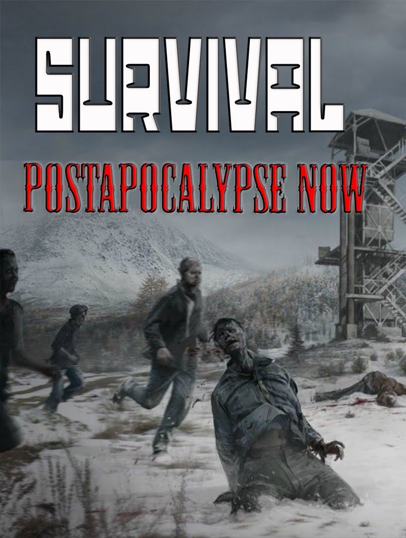 Survival: Postapocalypse Now (2015) PC